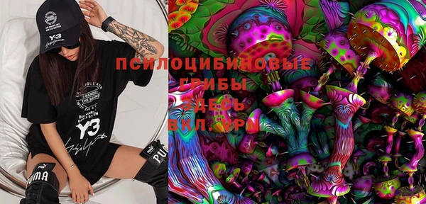 мдпв Белокуриха