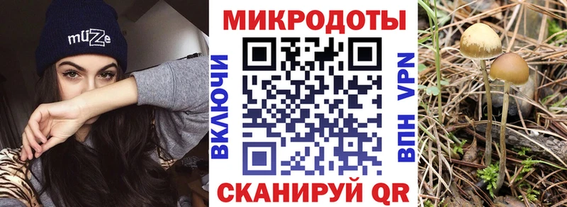 Галлюциногенные грибы ЛСД  дарк нет как зайти  Ковров 